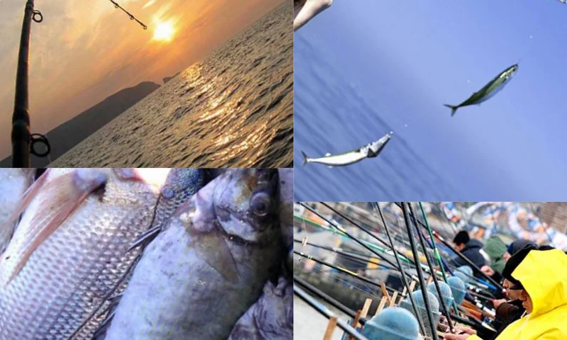Balık Tutmanın Keyfi ve Nedenleri