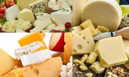 Peynirin Yararları: Sağlıklı Beslenmenin Anahtarı