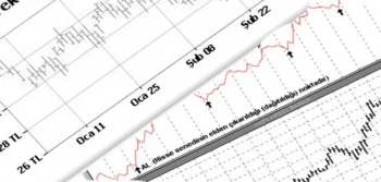 Nama Ve Hamiline Yazılı Hisse Senetleri Nedir