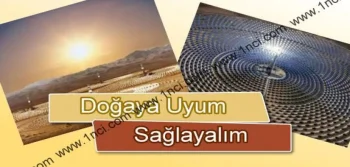 Doğaya Uyum Sağlayalım