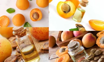 Bitter Apricot Kernels: Sağlıklı Yaşamın Anahtarı