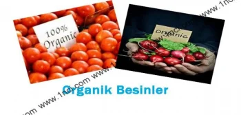 Organik Besinler