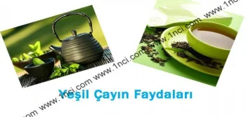 Yeşil Çayın Faydaları