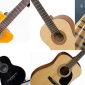 Gitarın Yapısı ve Aksesuarları Nelerdir