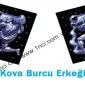 Kova Burcu Erkeği
