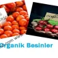 Organik Besinler